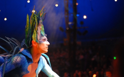 Cirque du Soleil Varekai