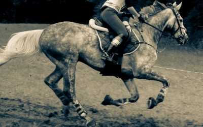 Equitana
