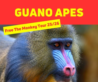 Guano Apes