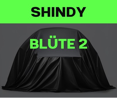 Shindy
