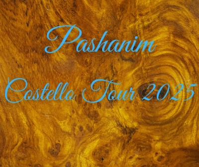 Pashanim