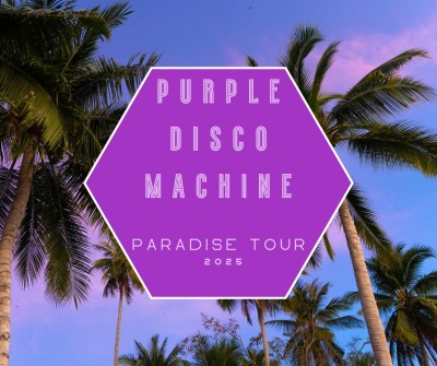 Purple Disco Machine