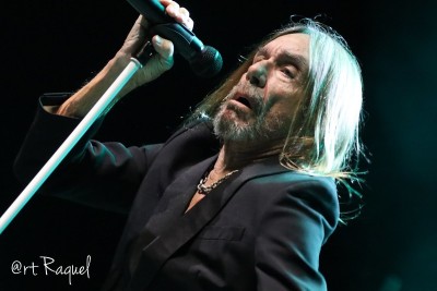 Iggy Pop